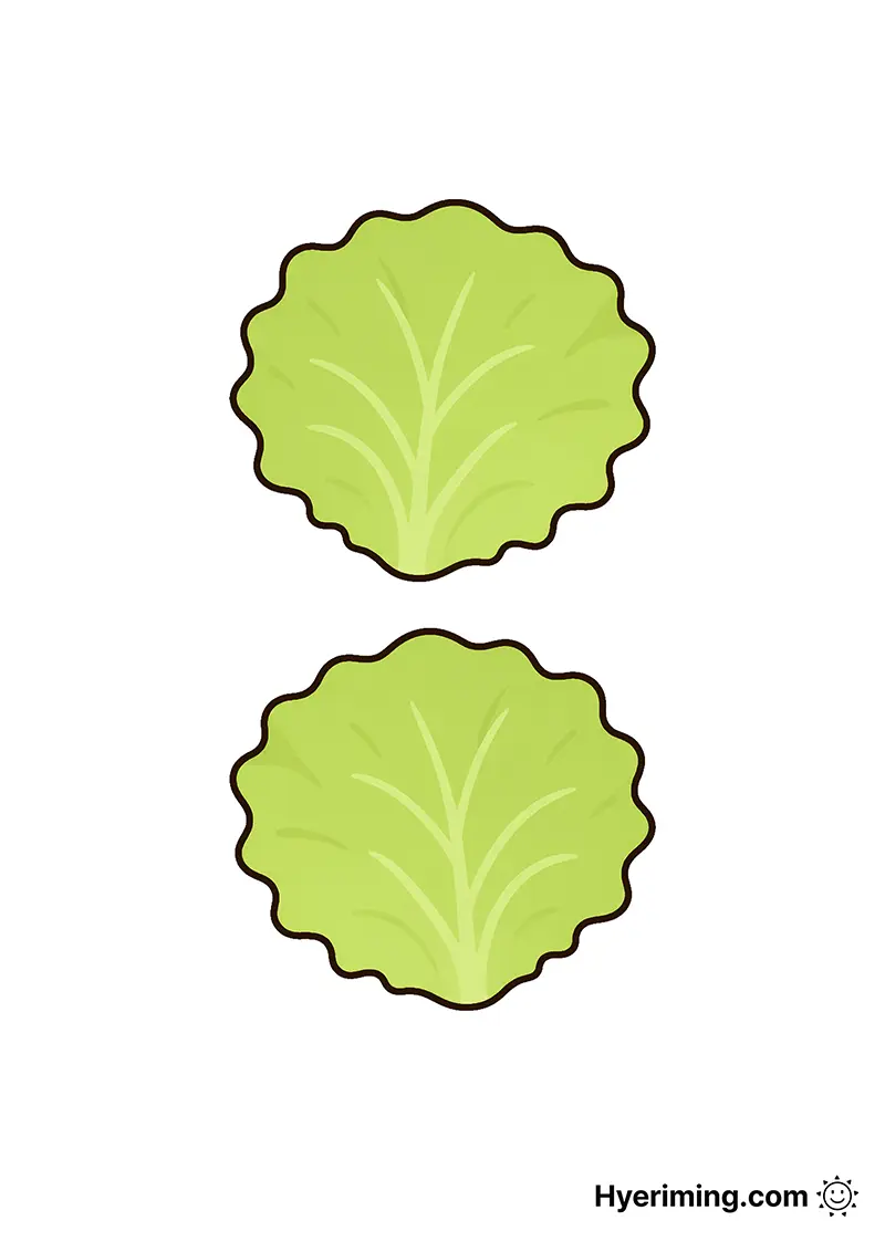 Lettuce paper squishy printable for kids