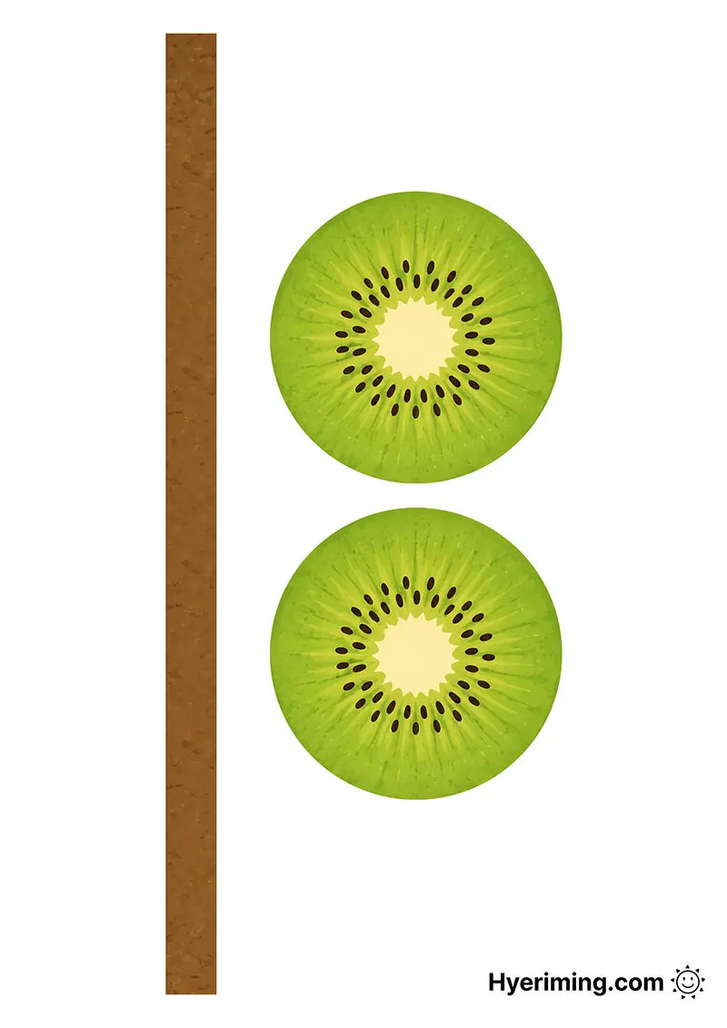 키위 슬라이스 종이스퀴시 무료 도안 🥝 과일 만들기 활동