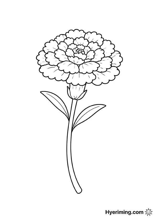 어버이날 카네이션 색칠공부 도안