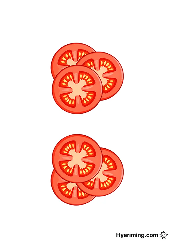 햄버거 토마토 종이 스퀴시 도안
